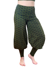 Mishu